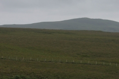 P1010089