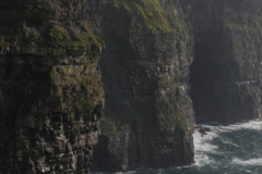 P1010264