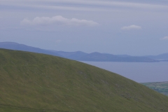 P1010909